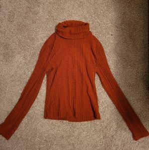 Turtle Neck Sweater